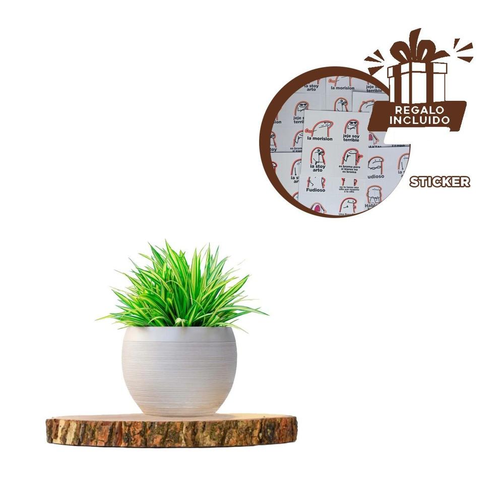 Objeto Decorativo Circular de Madera Natural para Casa y Espacios Y+Regalo Sticker