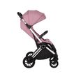 3081629_3