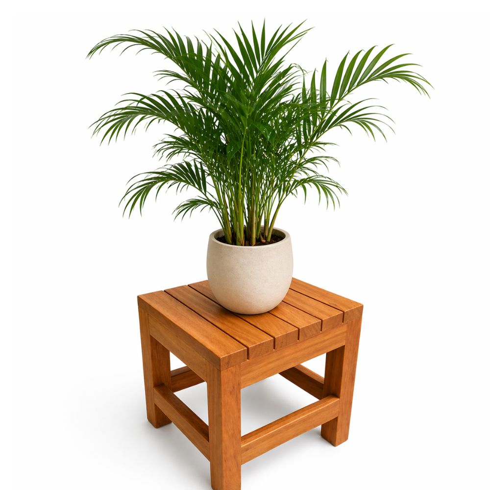 Porta macetero Banquito alpino cuadrado en madera