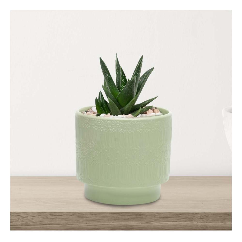 Contenedor Cilindro Ceramica 13x13cm Verde Claro Tulipanes Flores Hogar Festivo Y+Post It