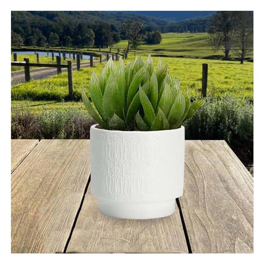 Recipiente Cilindrico Blanco 13x13cm De Ceramica Para Tulipanes Y Casa Y+Regalo Sticker