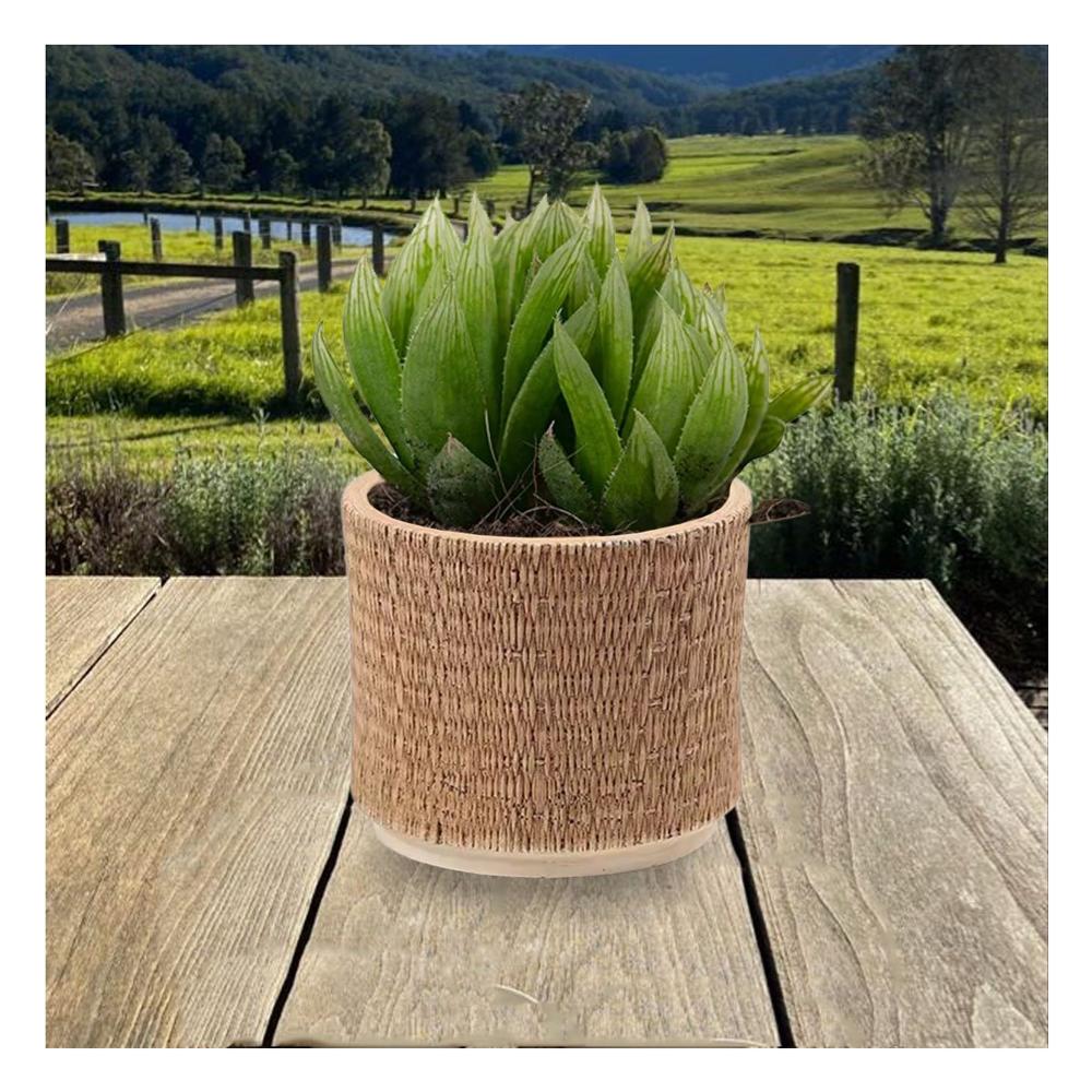 Recipiente Moderno Cemento 13x13cm Mostaza Tejido Rafia Hogar Y+Regalo Sticker