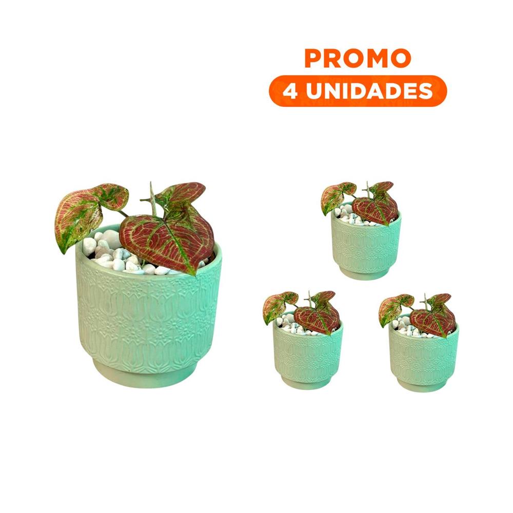 Pack4 Vasija Cilindro Ceramica 13x13cm Verde Claro Tulipanes Flores Casa Y+Regalo Sticker