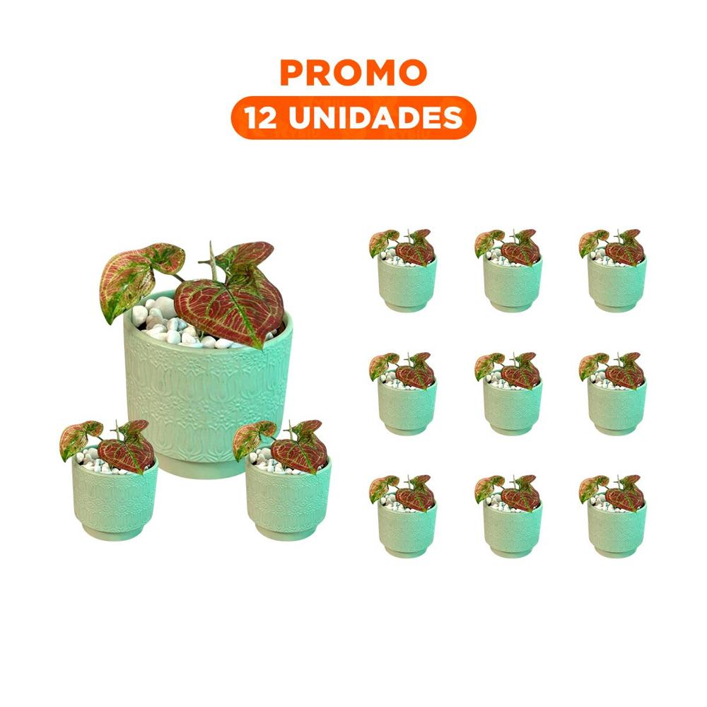 Pack12 Vasija Cilindro Ceramica Verde Claro Tulipanes Flores Para Hogar Casa Y+Papel Regalo