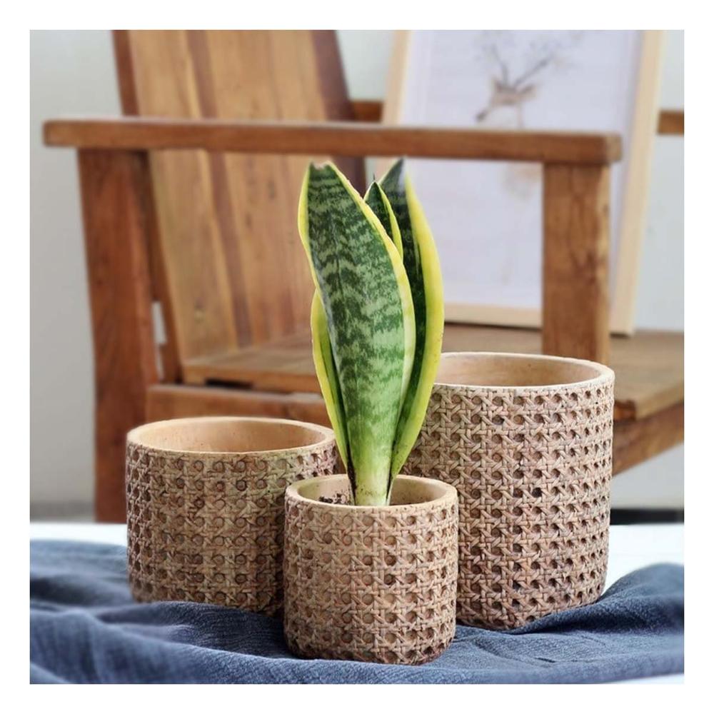 Macetero Cilindro Cemento Mostaza Tejido Rombos Casa Jardin Y+Papel Regalo