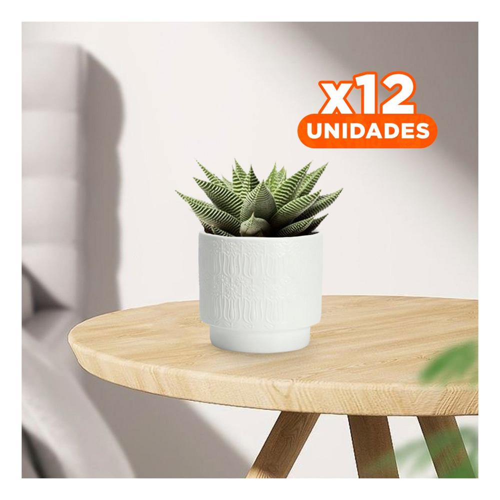 Pack12 Jardinera Blanca Cilindrica Para Tulipanes Flores 13x13cm Casa Y Hogar