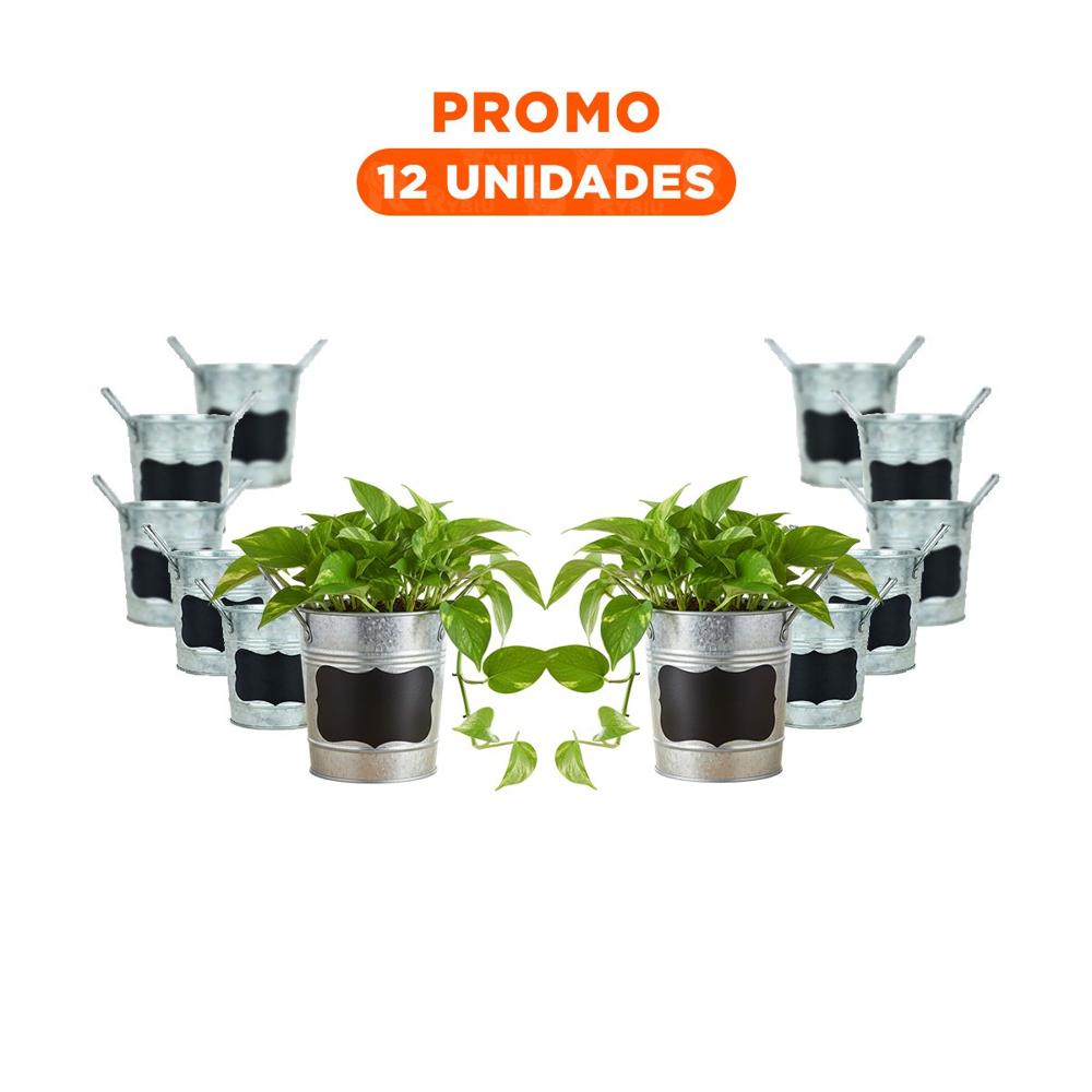 Pack12 Recipiente Cubo de Metal con Doble Asa 10x8.5cm Plateado Uso Decorativo Y+Regalo Sticker