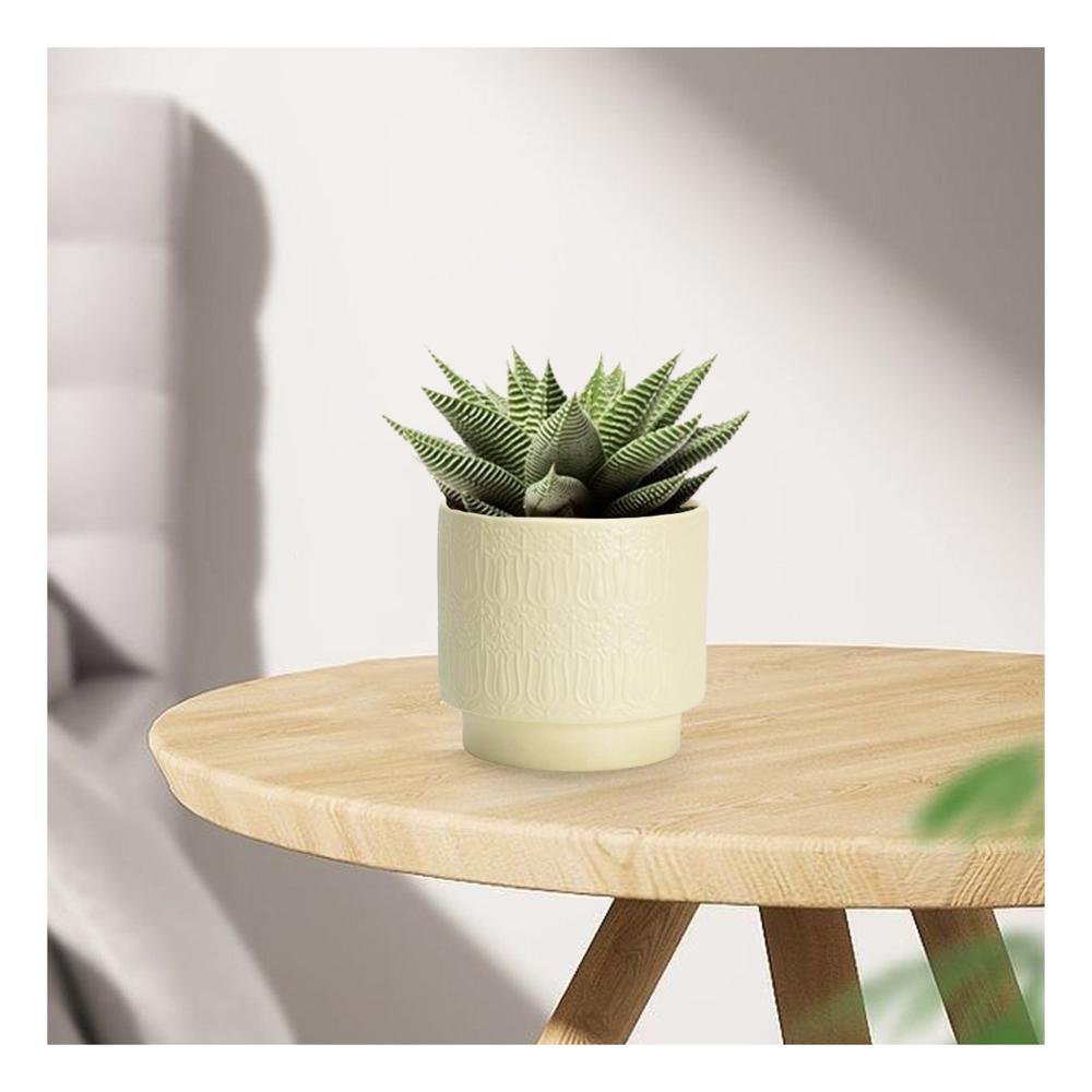 Cubo Cilindro Ceramica 13x13cm Crema Para Tulipanes Flores Casa Y+Papel Regalo