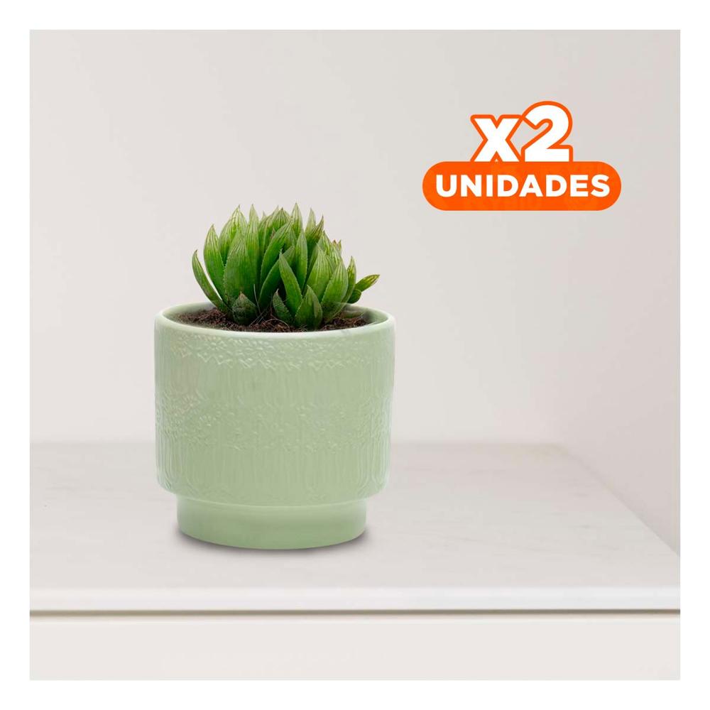 Pack2 Recipiente Cilindro Ceramica Verde Claro Tulipanes Flores Hogar Interior Y+Regalo Sticker