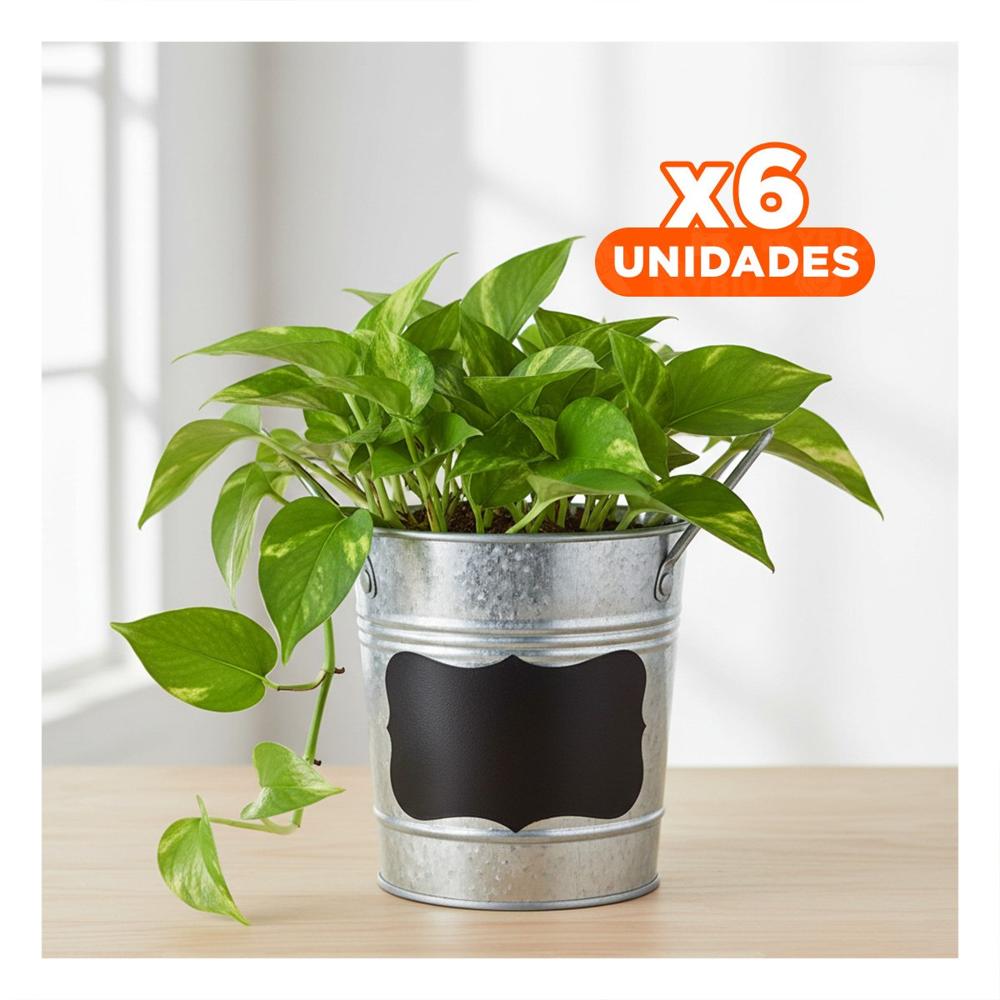 Pack6 Soporte para Planta Cubo Metal Doble Asa 10x8.5cm Plateado Acabado Durable Y+Papel Regalo