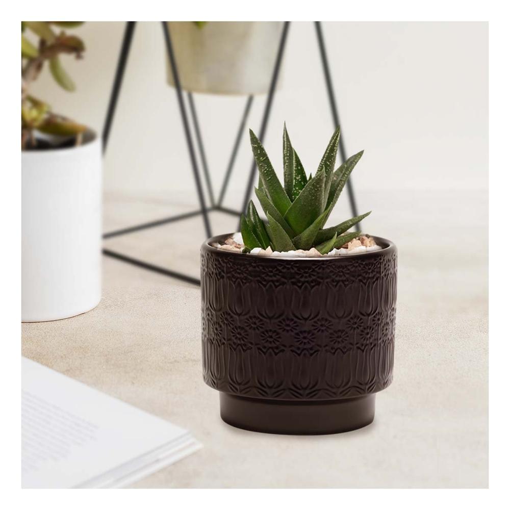 Contenedor Redondo De Ceramica 13x13cm Negro Para Tulipanes Flores Hogar Y+Papel Regalo