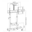 imageUrl_8
