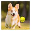 imageUrl_2