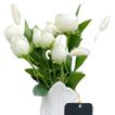 Image-4