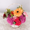 imageUrl_1