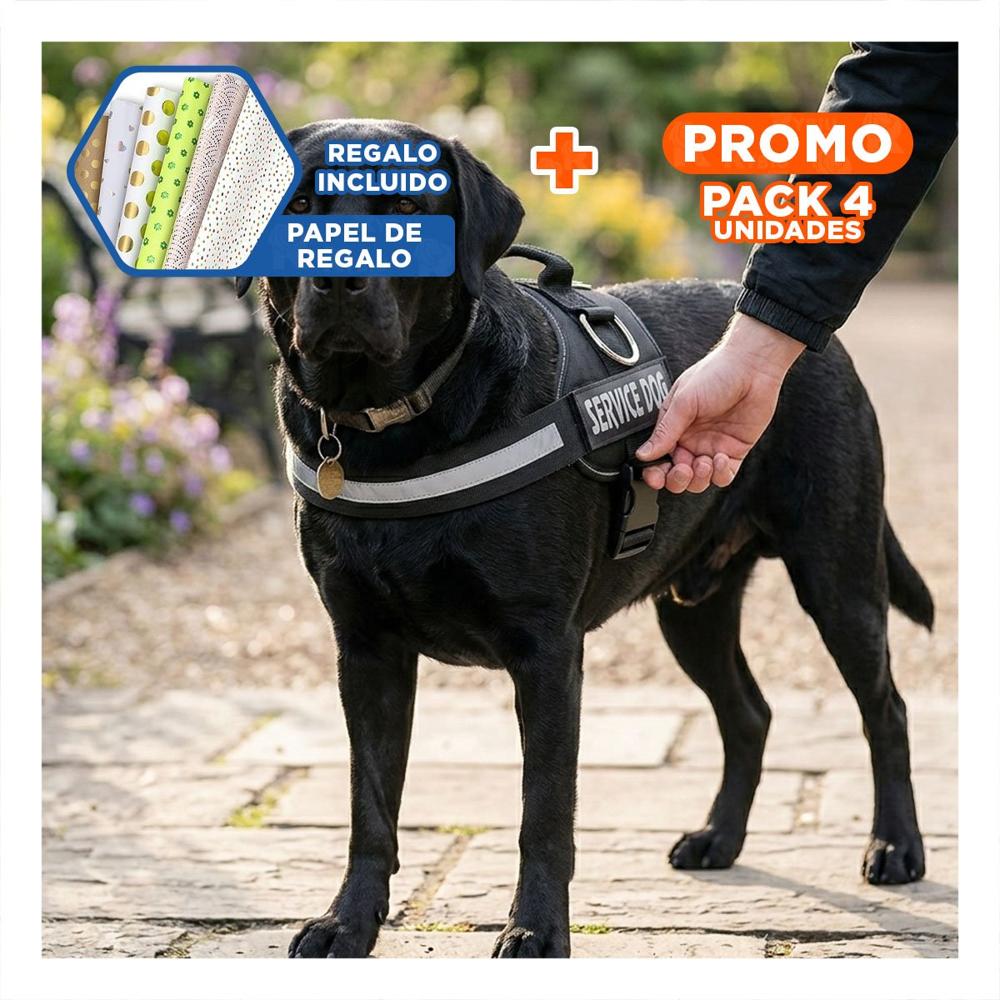 Pack4 Equipo Ajustable Service Dog Talla XL Negro Mascota Activa Y+Papel Regalo