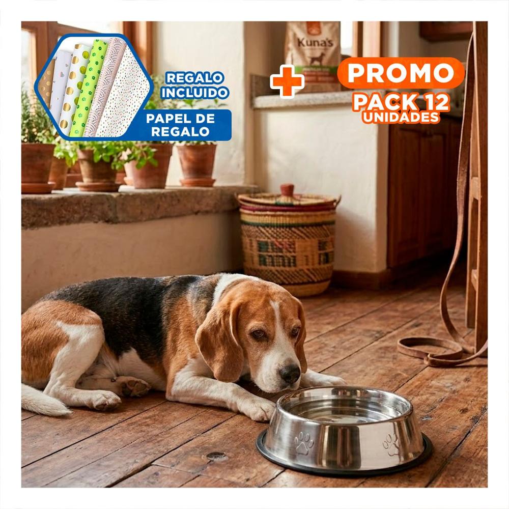Pack12 Plato de Acero Pet con Huellas y Jebe L 26 Cm Seguro y Practico Y+Papel Regalo