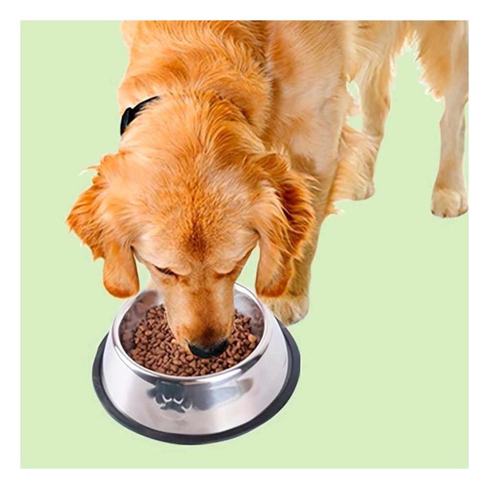 Comedero de Acero Pet con Huellas y Jebe XXL 33 Cm Confiable y Seguro Y+Ligas Regalo