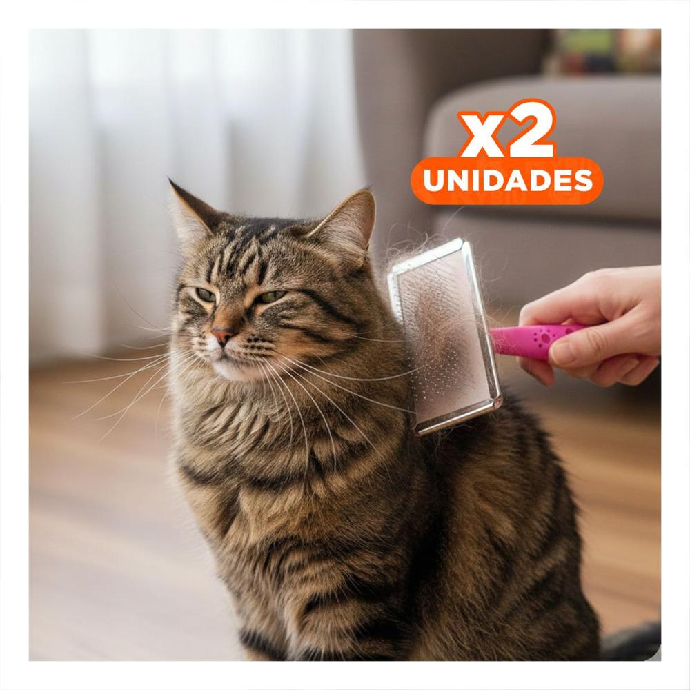 Pack2 Peine Pet Puntas de Metal Mango de Plastico Talla L Fucsia de Clase Y+Regalo Sticker