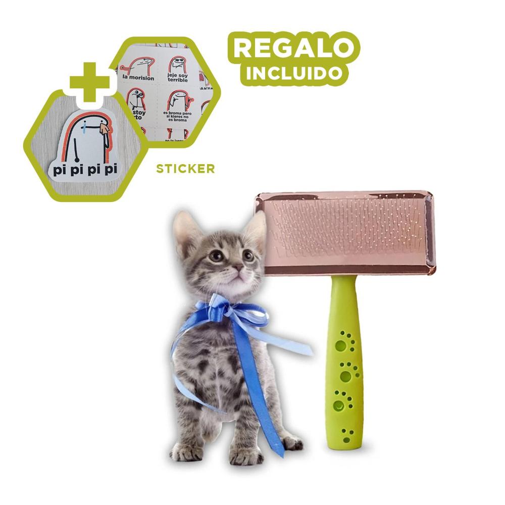 Peine de Plastico Puntas de Metal Talla L Verde con mucha Guia Real Y+Regalo Sticker