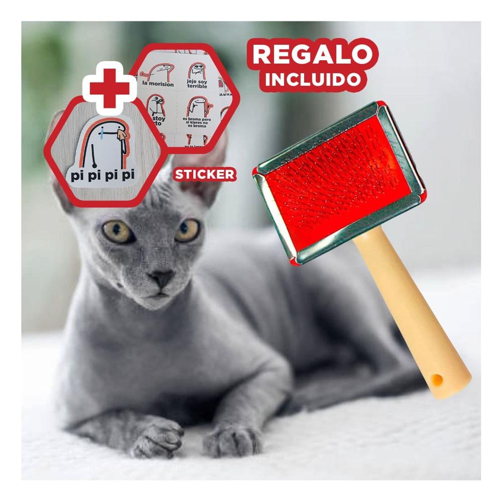 Utensilio Metal Rojo con Mango de Madera para Mascotas en Casa Y+Regalo Sticker