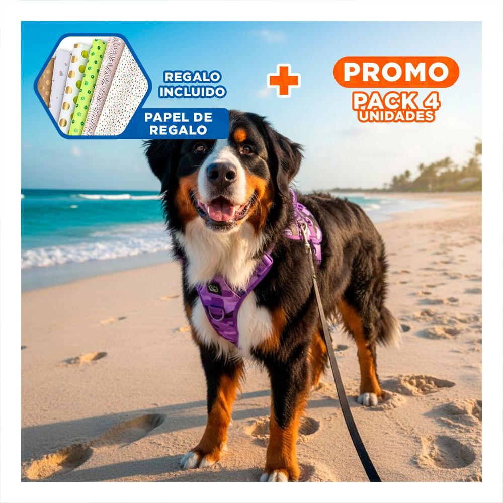 Pack4 Cinturon Para Perro Activo Morado Talla L Para Paseos Y Entrenamiento Y+Papel Regalo