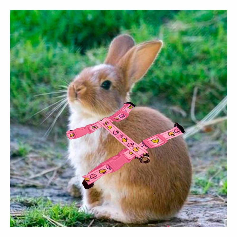 Pechera Resistente para Conejo y Gato Delgado Rosado Y+Ligas Regalo