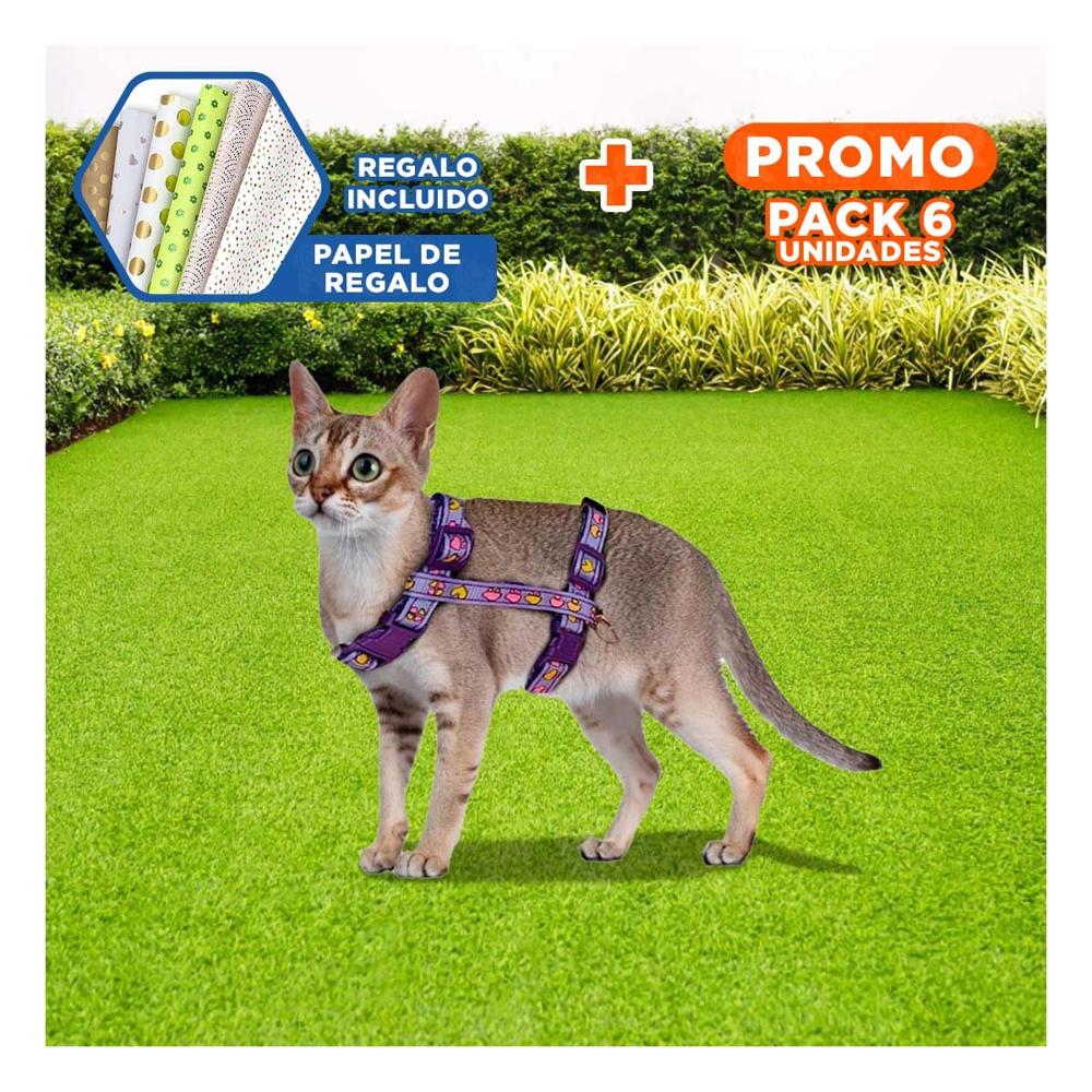 Pack6 Sistema Seguro para Conejo y Gato Delgado en Lila Y+Papel Regalo