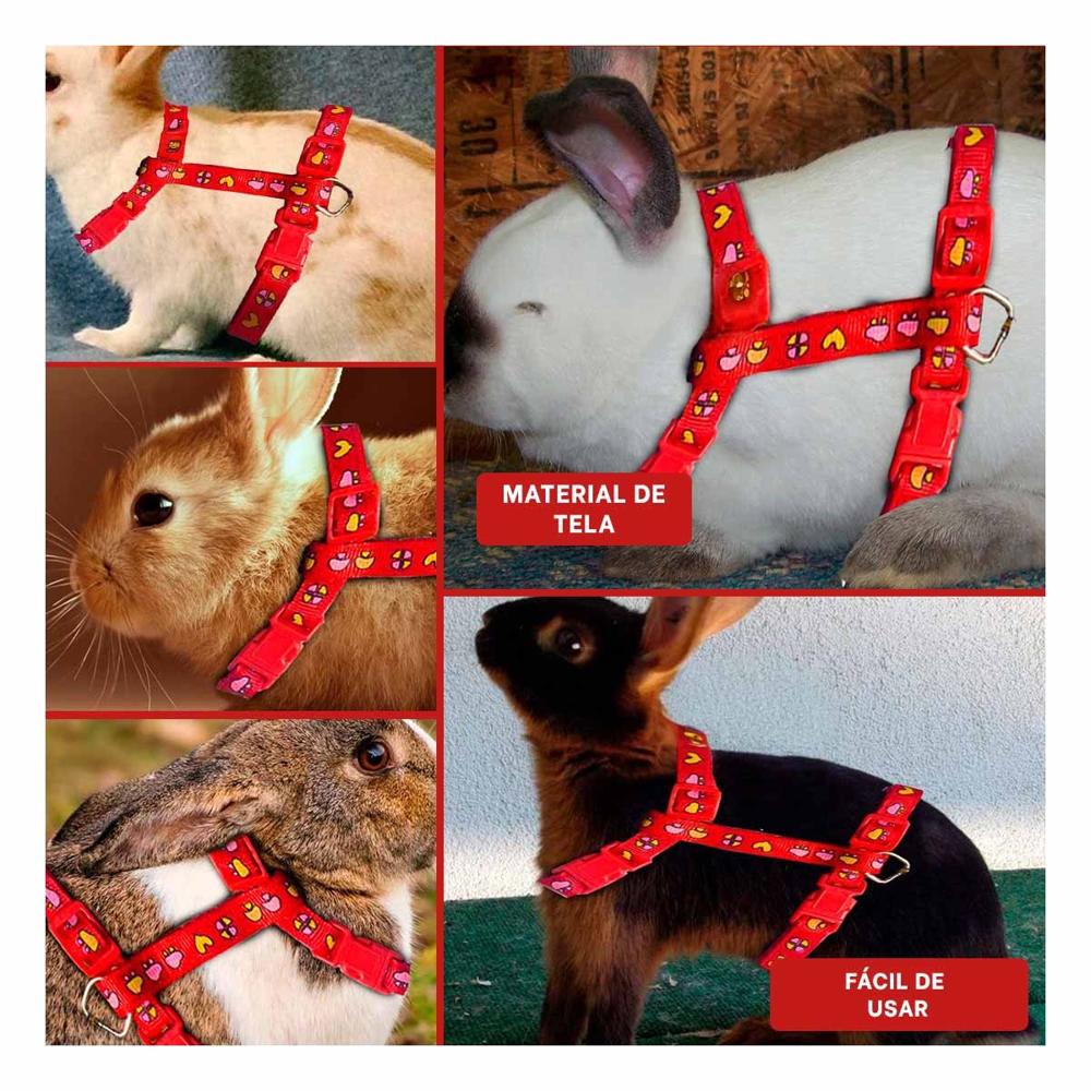 Arnes Resistente para Conejo y Gato Delgado Rojo Y+Post It