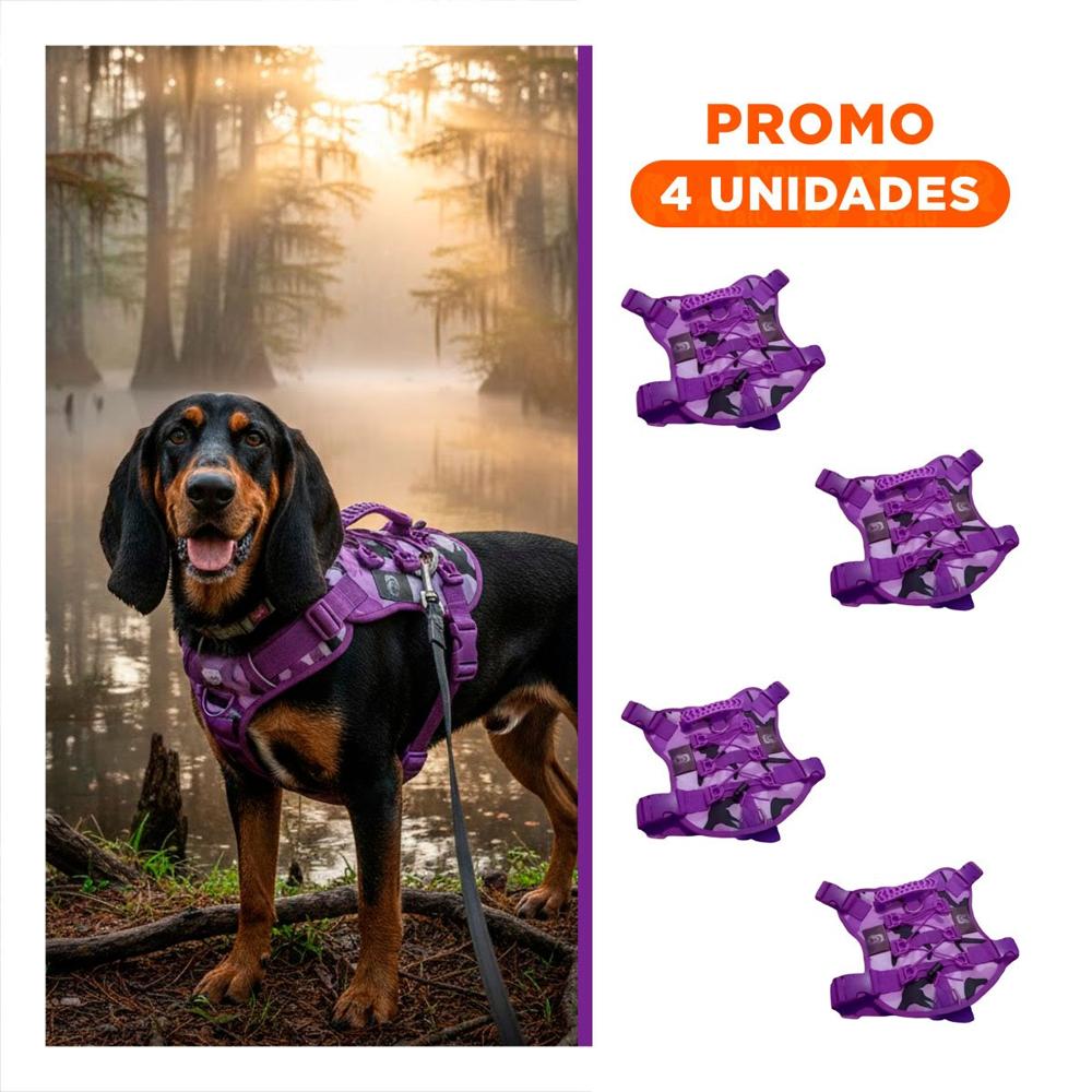 Pack4 Correa Para Perro Activo Morado Talla L Con Ajuste Comodo Y Seguro Y+Regalo Sticker
