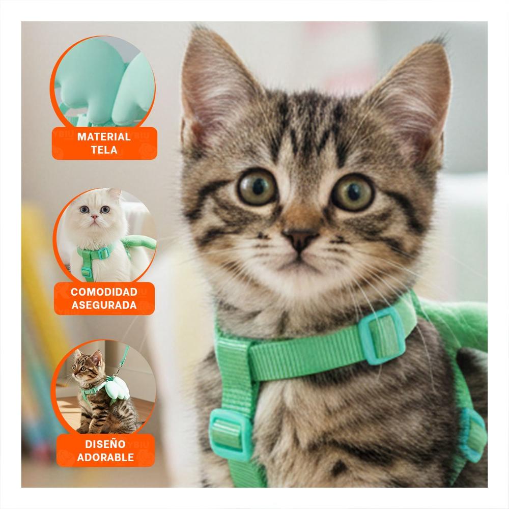 Soporte Ajustable Pet con Alitas Pequenas Turquesa para Paseos Seguros Y+Ligas Regalo