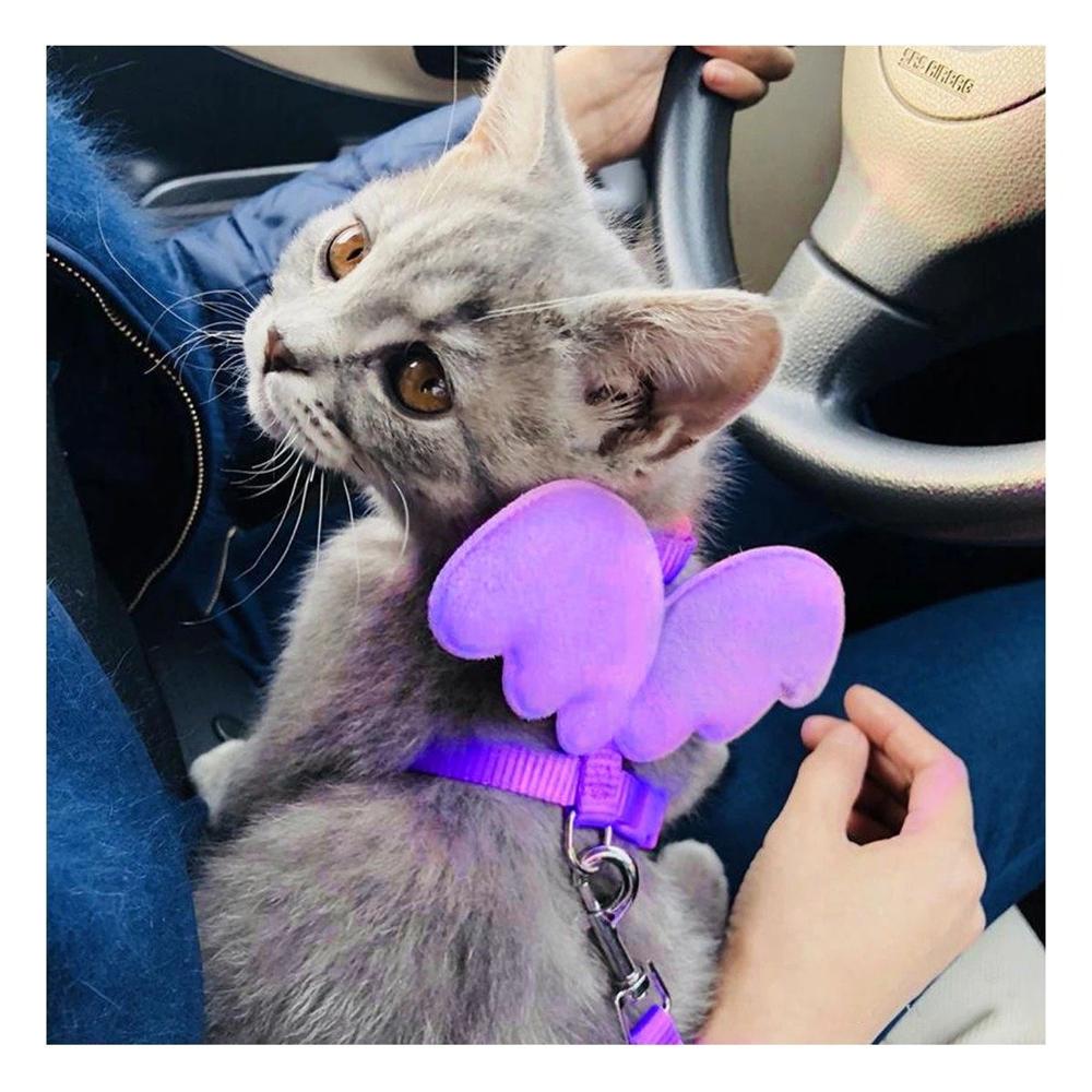 Harness Regulable Con Alitas Pequenas Para Mascota Lila Claro Y+Ligas Regalo