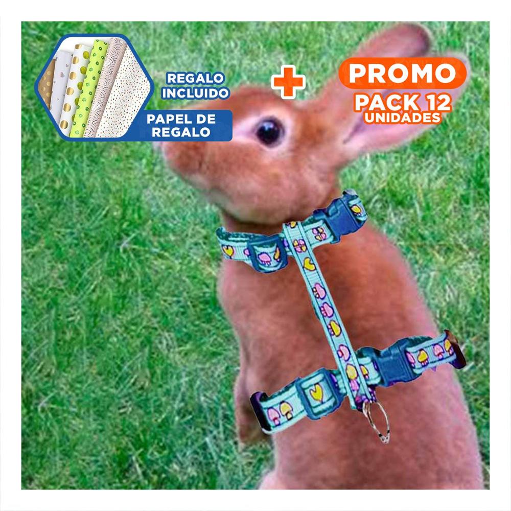 Pack12 Sistema Comodo para Conejo y Gato Delgado Celeste Y+Papel Regalo