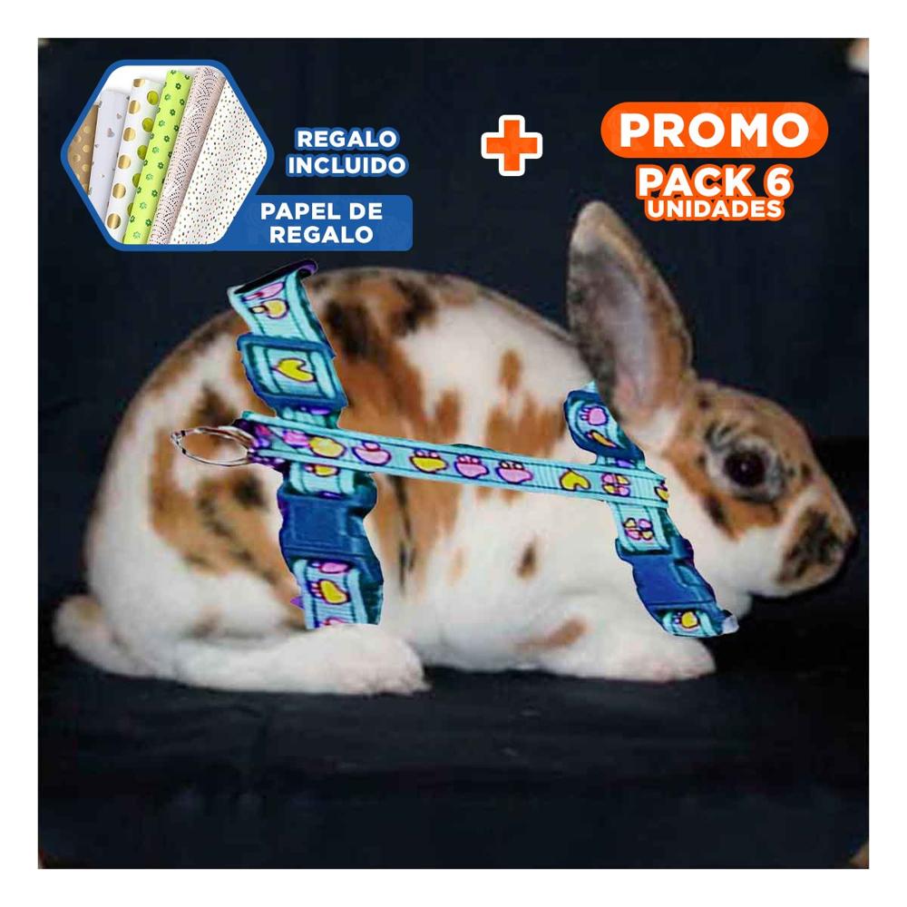 Pack6 Arnes Ventilado para Conejo y Gato Delgado Celeste Y+Papel Regalo