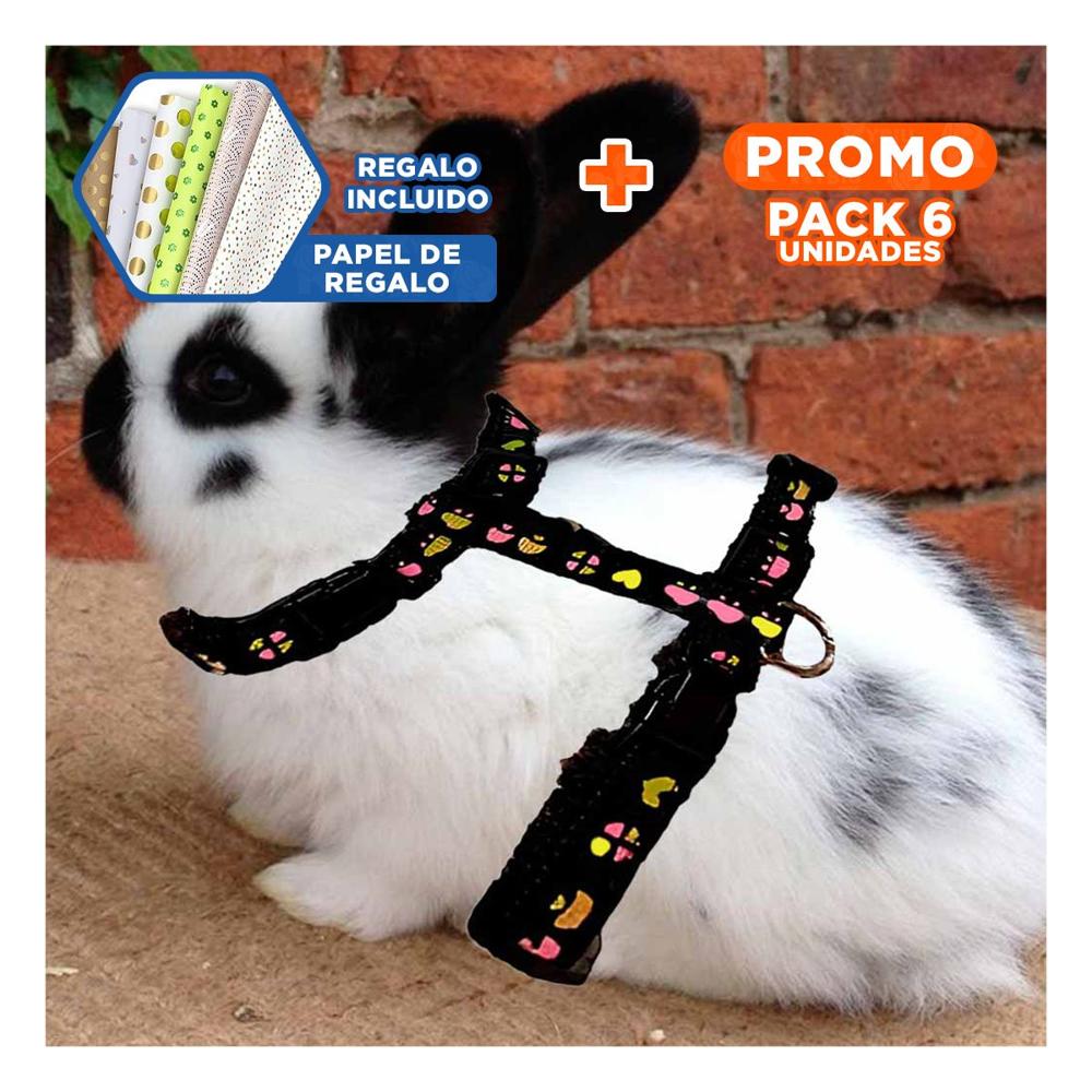 Pack6 Sistema Seguro para Conejo y Gato Delgado en Negro Y+Papel Regalo