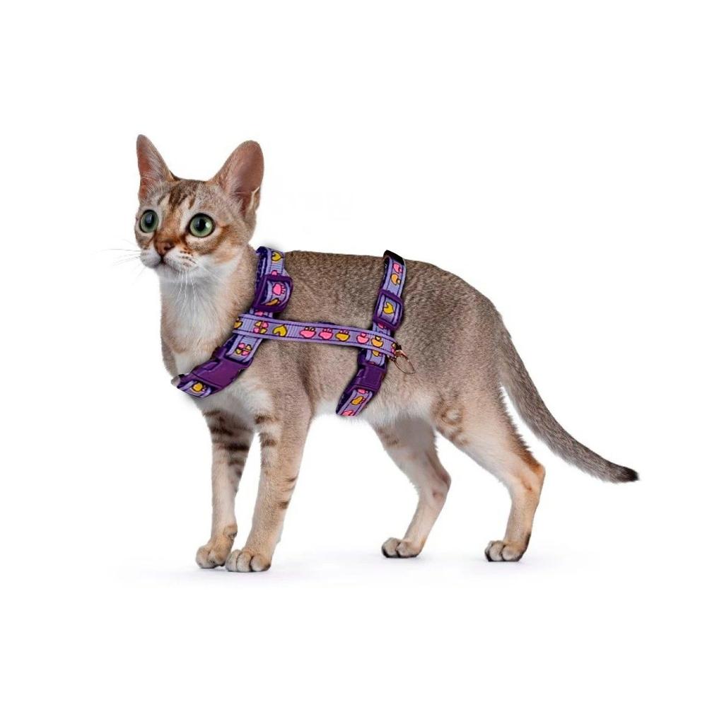 Arnes Resistente para Conejo y Gato Delgado Lila Y+Papel Regalo