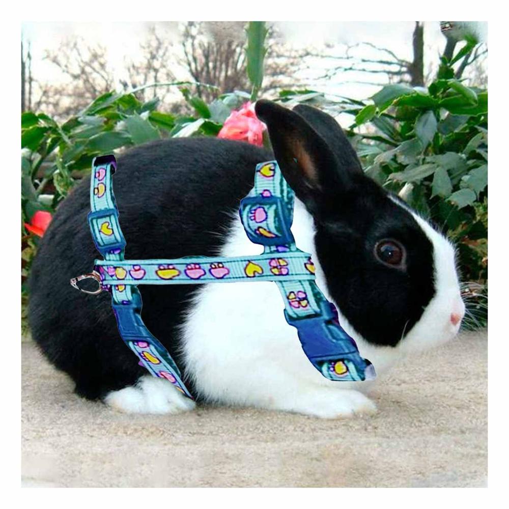 Sistema Ligero para Conejo y Gato Delgado Celeste Y+Ligas Regalo