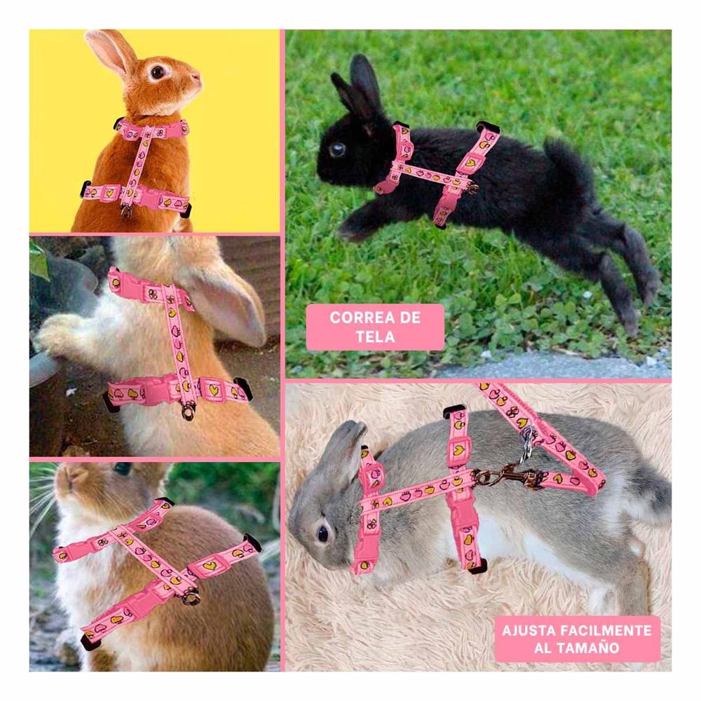 Collar Ligero para Conejo y Gato Delgado en Rosado Y+Post It