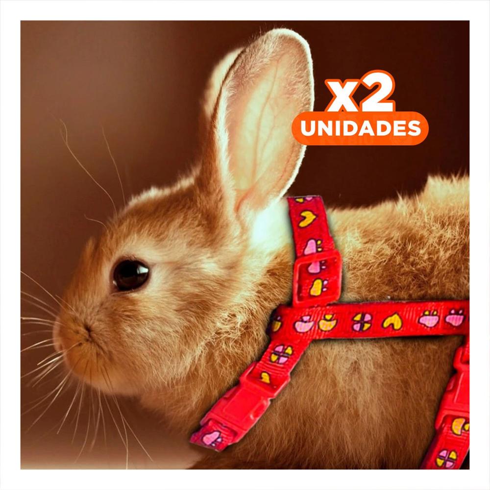 Pack2 Correa Resistente con Arnes para Conejo y Gato Delgado Rojo Y+Regalo Sticker