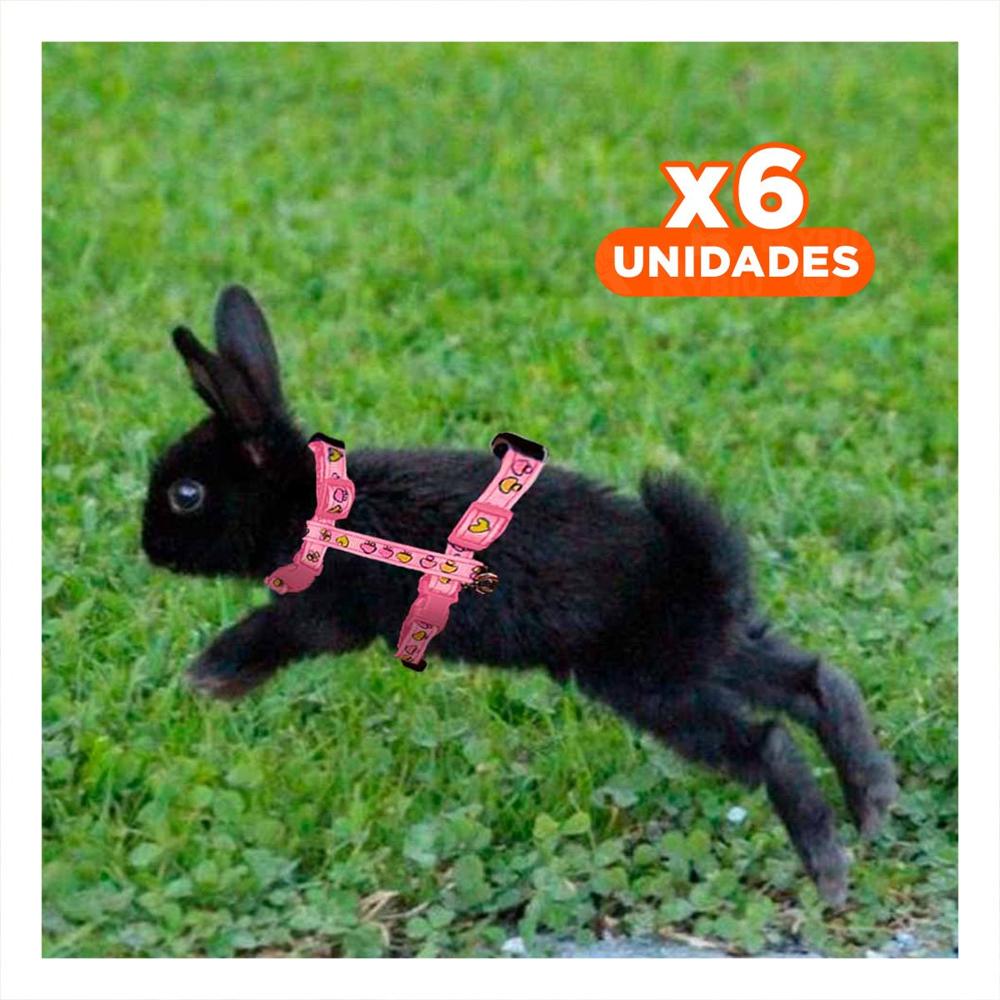 Pack6 Arnes Ligero para Conejo y Gato Delgado en Rosado Y+Regalo Sticker