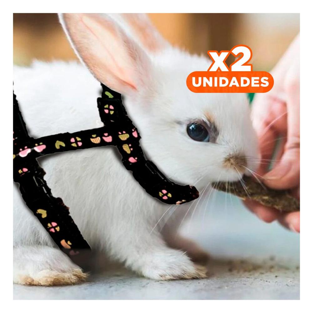Pack2 Arnes Seguro para Conejo y Gato Delgado Color Negro Y+Regalo Sticker
