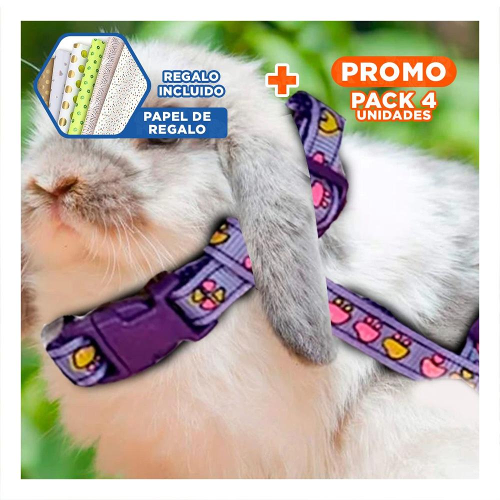 Pack4 Collar Ligero para Conejo y Gato Delgado en Lila Y+Papel Regalo