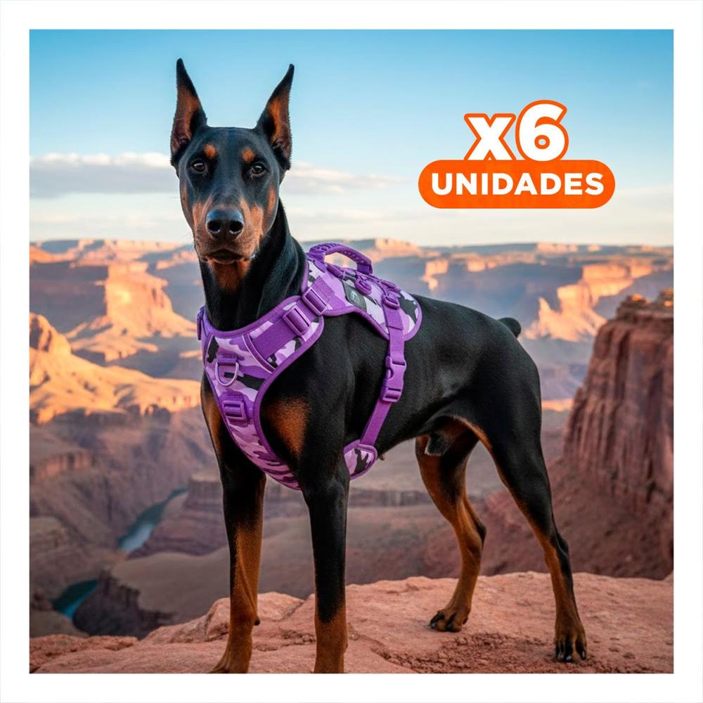 Pack6 Arnes Para Mascota Activa Morado Talla L Con Material Durable Y Ligero Y+Regalo Sticker