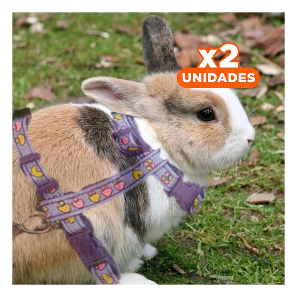 Pack2 Arnes Seguro para Conejo y Gato Delgado Color Lila Y+Regalo Sticker