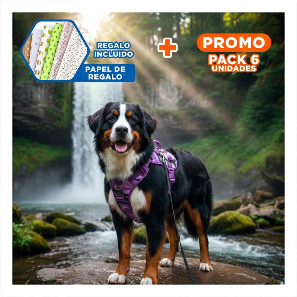 Pack6 Chaleco Para Mascota Activa Morado Talla L Facil De Ajustar Y+Papel Regalo