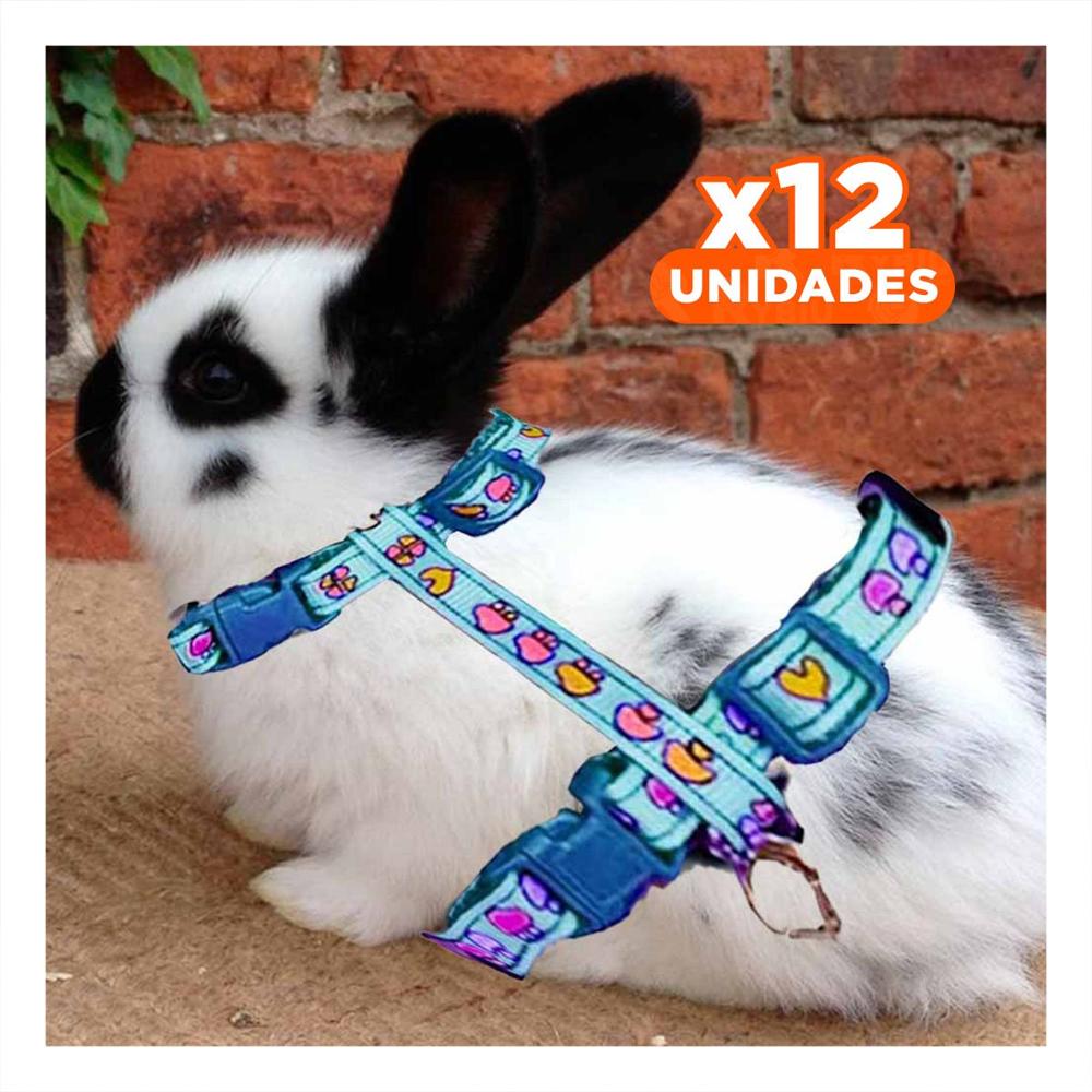 Pack12 Collar Moderno para Conejo y Gato Delgado Color Celeste