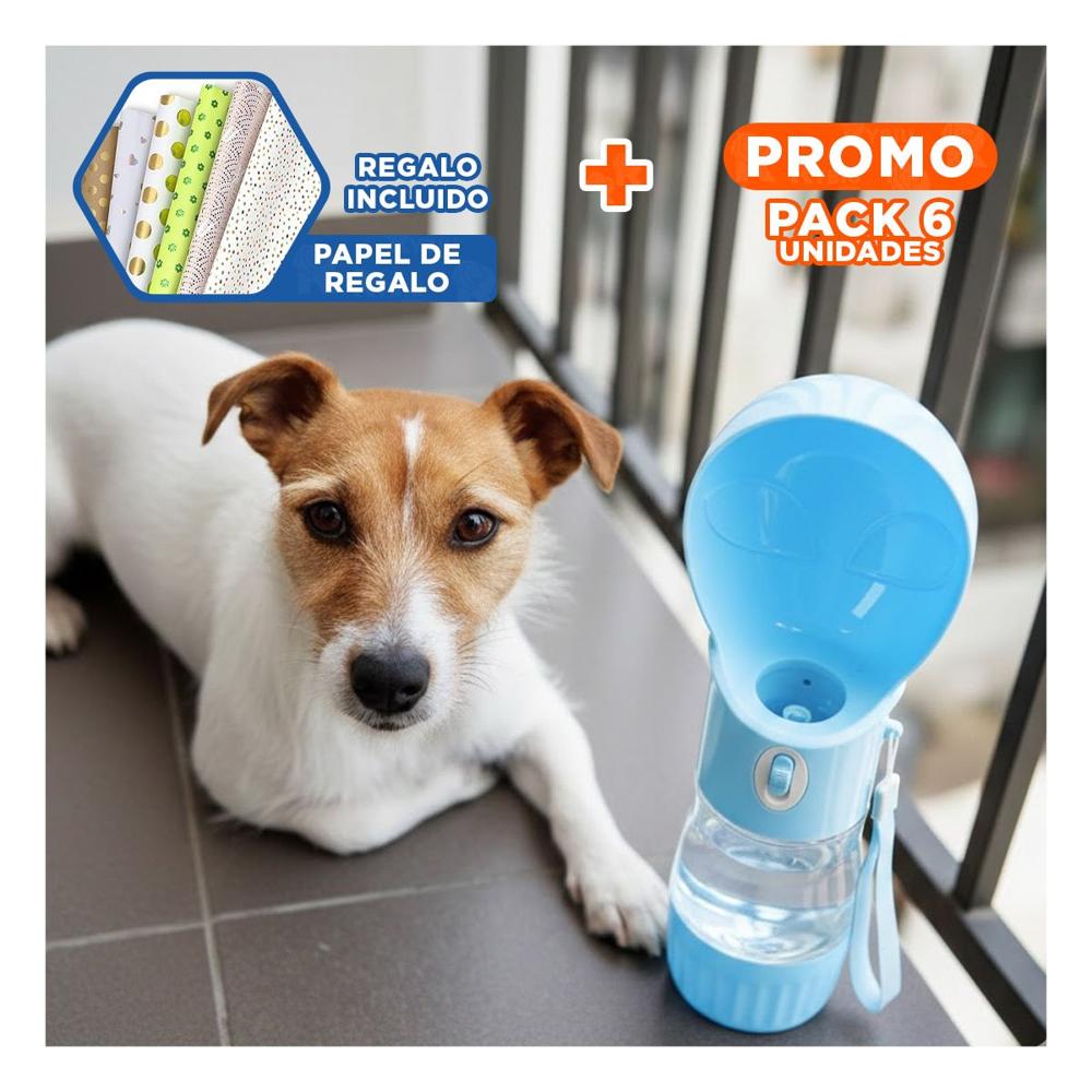 Pack6 Accesorio Moderno Tipo Ovni Celeste para Hogar Y+Papel Regalo