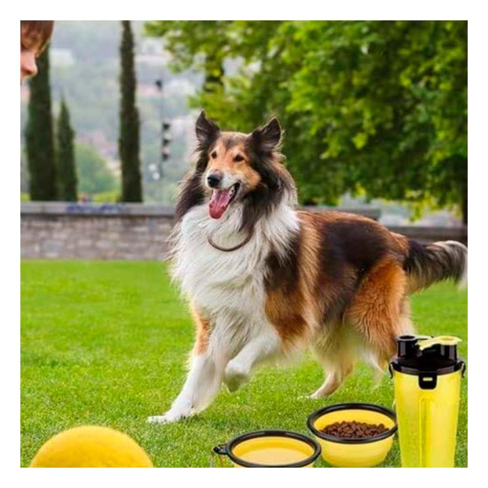 Recipiente Portatil con Plato Plegable para Mascota Amarillo Y+Ligas Regalo