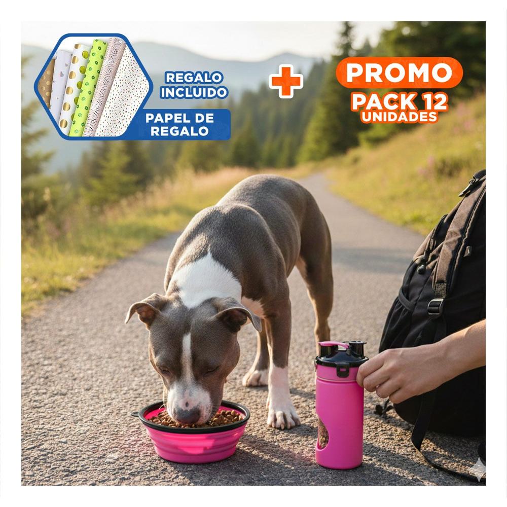 Pack12 Plato Plegable con Comedero y Bebedero Rosado Y+Papel Regalo