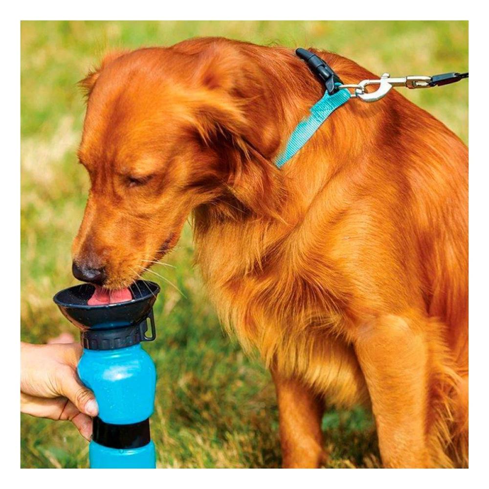Botella de Agua para Mascota Aqua Dog en Color Azul Y+Ligas Regalo